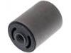 Control Arm Bushing:55118-4A501